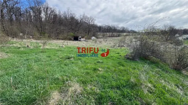 Teren Ampoița - poza 1