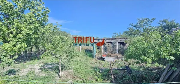 Casă 3 camere Berghin - poza 13
