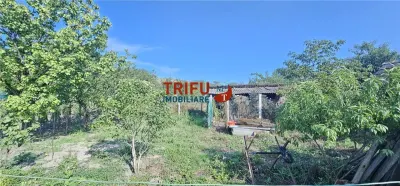 Casă 3 camere Berghin - poza 13
