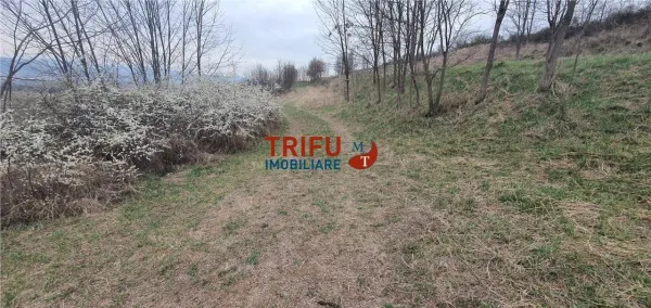 Teren Alba Iulia - poza 12