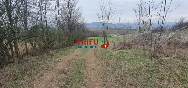 Teren Alba Iulia - poza 4