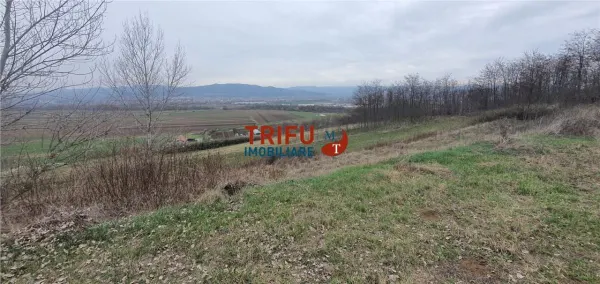 Teren Alba Iulia - poza 6