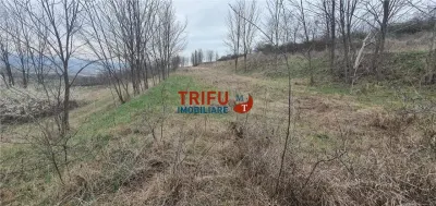 Teren de vanzare zona Ciugud - foto 7