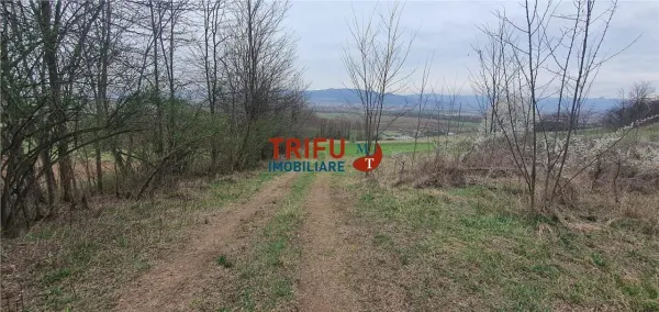 Teren Alba Iulia - poza 10