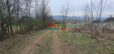 Teren de vanzare zona Ciugud - foto 10