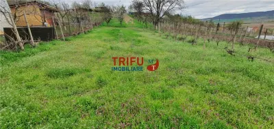 Teren de vanzare zona Micesti 1436mp - foto 2
