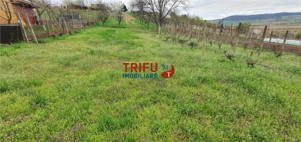 Teren Alba Iulia - poza 4