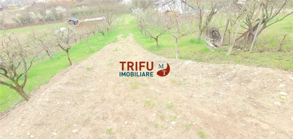 Teren Alba Iulia - poza 5
