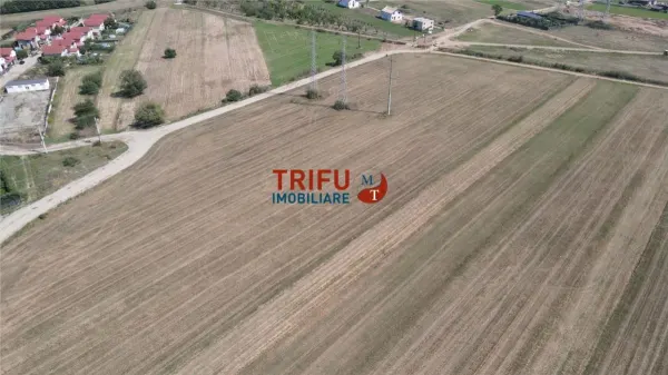 Teren Alba Iulia - poza 2