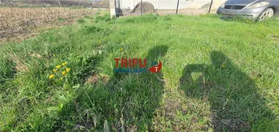 Teren pentru casă în Orizont - foto 5
