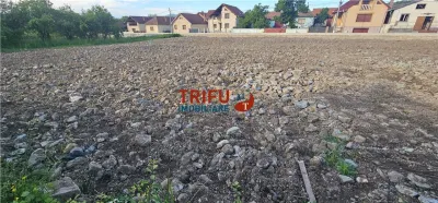 Teren de vanzare in Bucerdea Vinoasa - foto 2