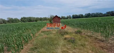 Teren intravilan de vanzare in Vint - foto 2