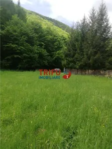 Teren  de vanzare  zona Galda - foto 6