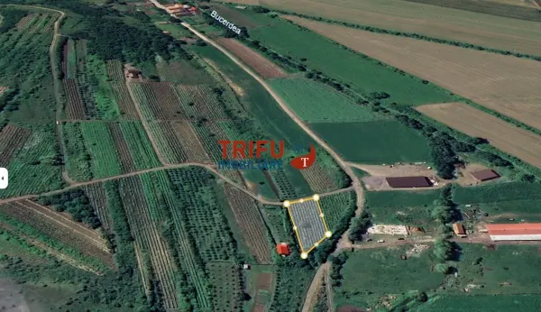 Teren Șard - poza 1