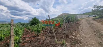 Teren extravilan 1400 mp de vânzare în Șard – deschidere la două străzi - foto 3