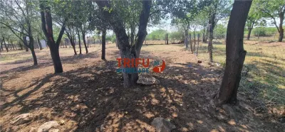 Teren de vanzare zona Paclisa - foto 2