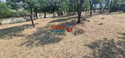 Teren de vanzare zona Paclisa - foto 10