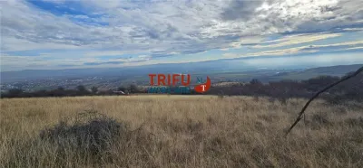 Teren extravilan în zona Pâclișa - foto 3