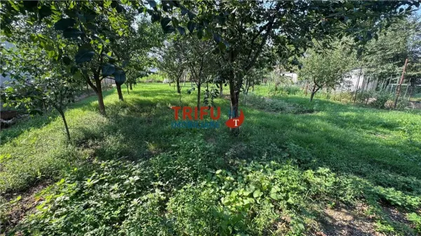 Teren Alba Iulia - poza 14