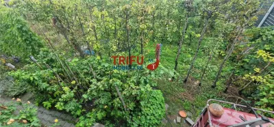 Teren de vânzare în zona centrală a orașului - foto 10