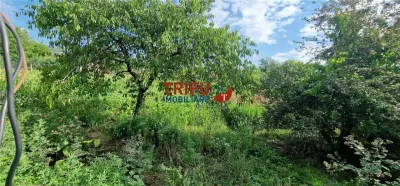Casa de vanzare cu 1252 mp teren in Ighiu - foto 10