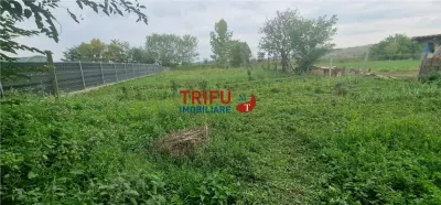 Casă în Totoi cu potențial - foto 20
