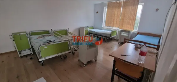 Casă 9 camere Alba Iulia - poza 12