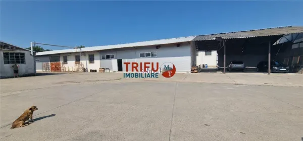 Spațiu industrial Alba Iulia - poza 3