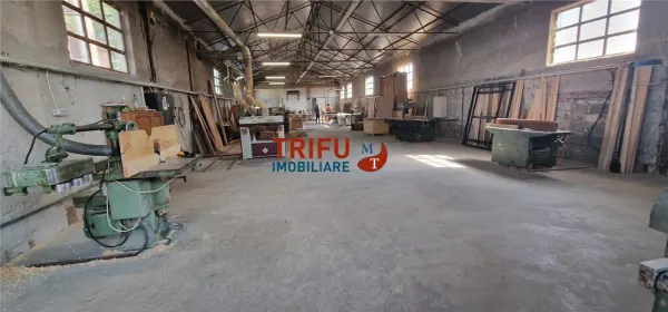 Spațiu industrial Alba Iulia - poza 7