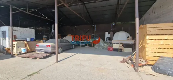 Spațiu industrial Alba Iulia - poza 8