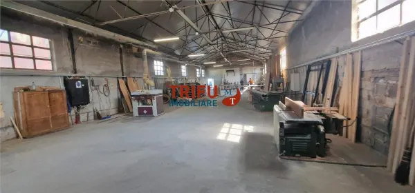 Spațiu industrial Alba Iulia - poza 9
