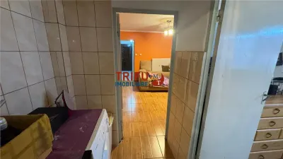 Apartament 2 camere de inchiriat zona Cetate - foto 8