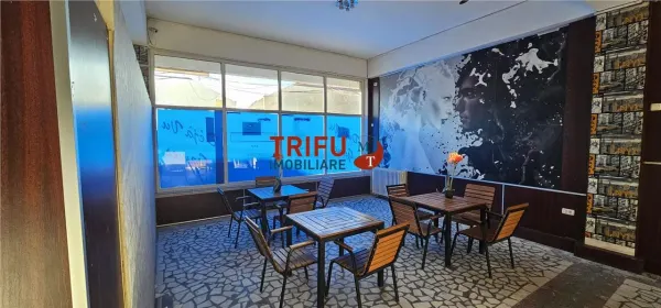 Spațiu comercial Vințu de Jos - poza 5