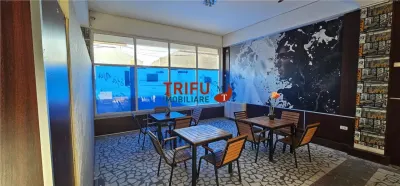 Spațiu comercial Vințu de Jos - poza 5
