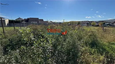 Teren construibil intravilan 437 mp în cartierul Orizont - foto 4