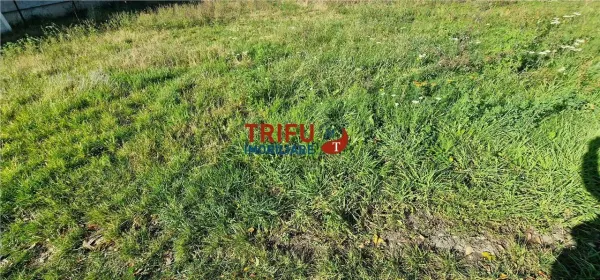 Teren Alba Iulia - poza 3