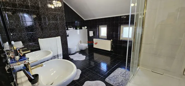 Casă 7 camere Alba Iulia - poza 19