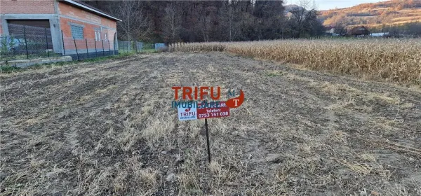 Teren Ampoița - poza 1
