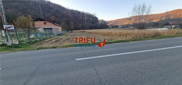 Teren Ampoița - poza 3