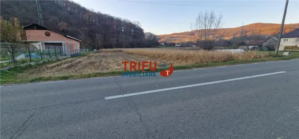 Teren Ampoița - poza 4