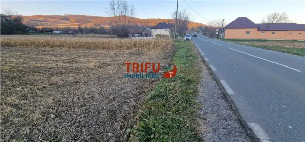 Teren Ampoița - poza 5