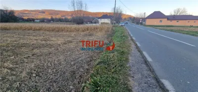 Teren Intravilan în Ampoița 1000mp - foto 5