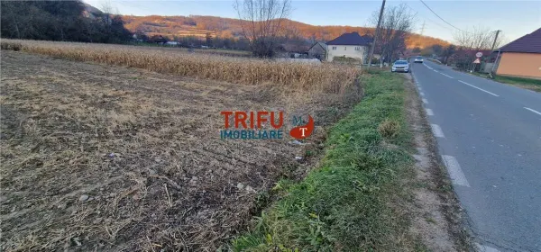 Teren Ampoița - poza 6