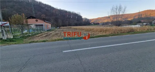 Teren Ampoița - poza 7