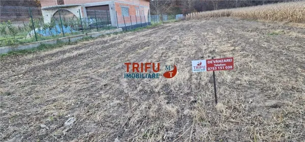 Teren Ampoița - poza 8