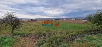 Teren 2160mp în  Partoș - foto 1