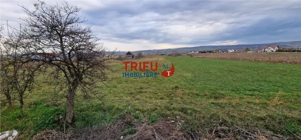 Teren Alba Iulia - poza 11