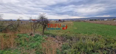 Teren 2160mp în  Partoș - foto 4