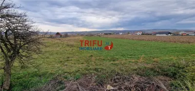 Teren 2160mp în  Partoș - foto 5