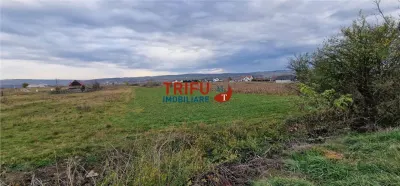 Teren 2160mp în  Partoș - foto 6